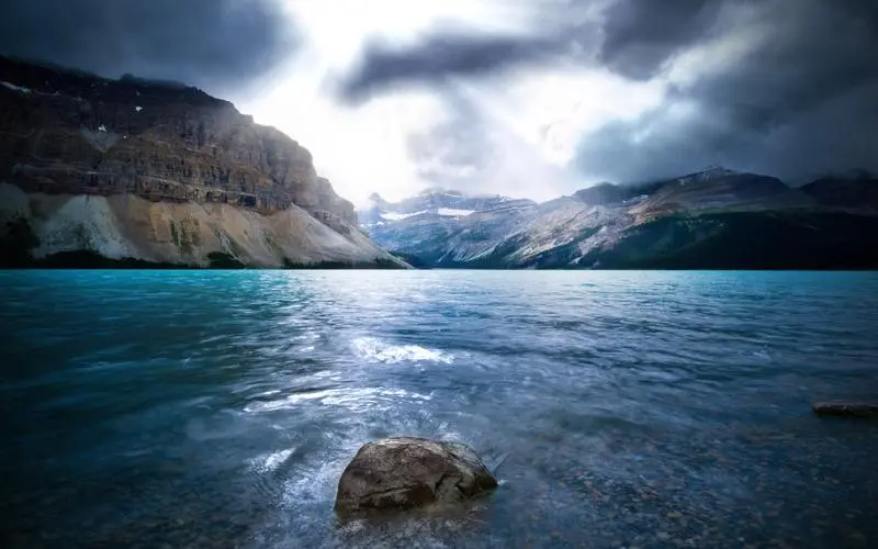 独特智能化网络化